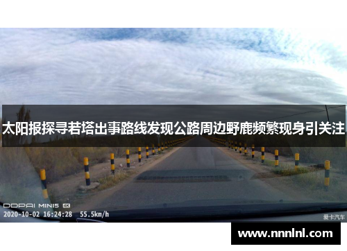 太阳报探寻若塔出事路线发现公路周边野鹿频繁现身引关注