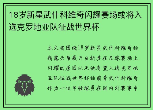 18岁新星武什科维奇闪耀赛场或将入选克罗地亚队征战世界杯
